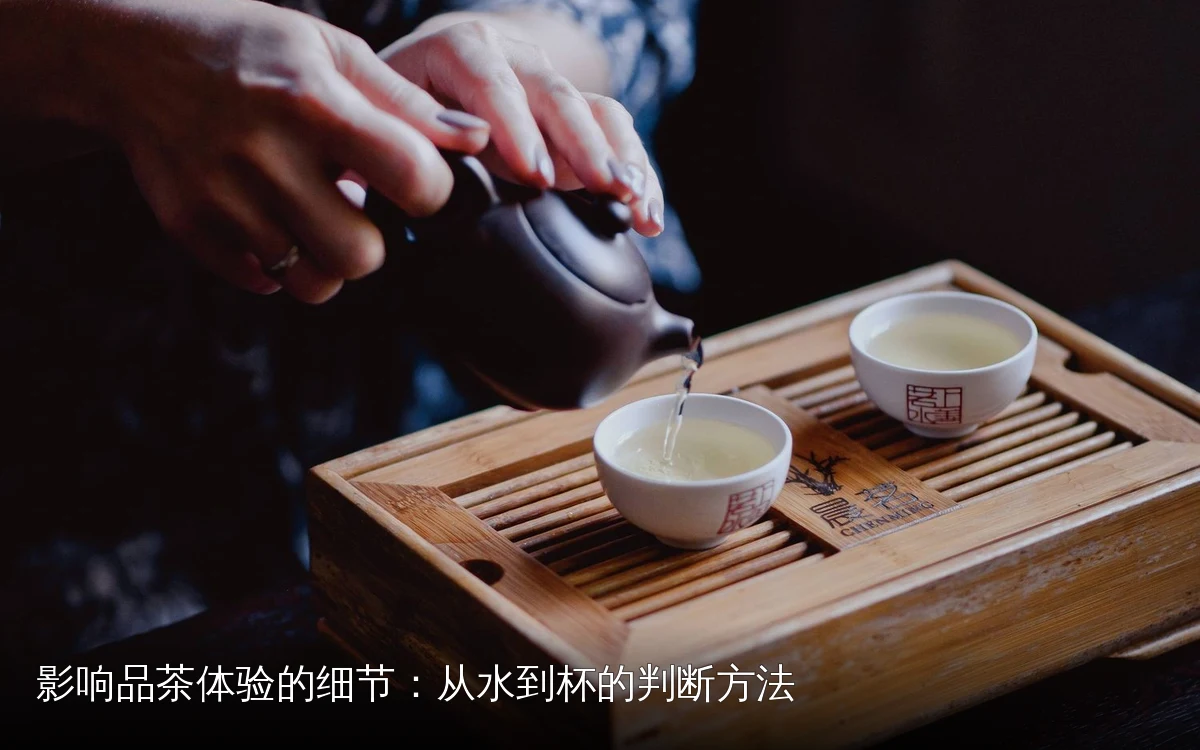 主题场景配图,仅作示意
